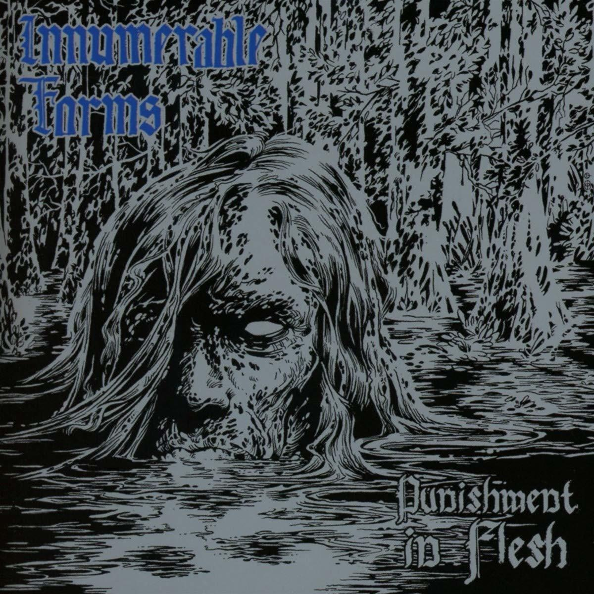 Innumerable Forms - Punishment In Flesh  - (CD)
