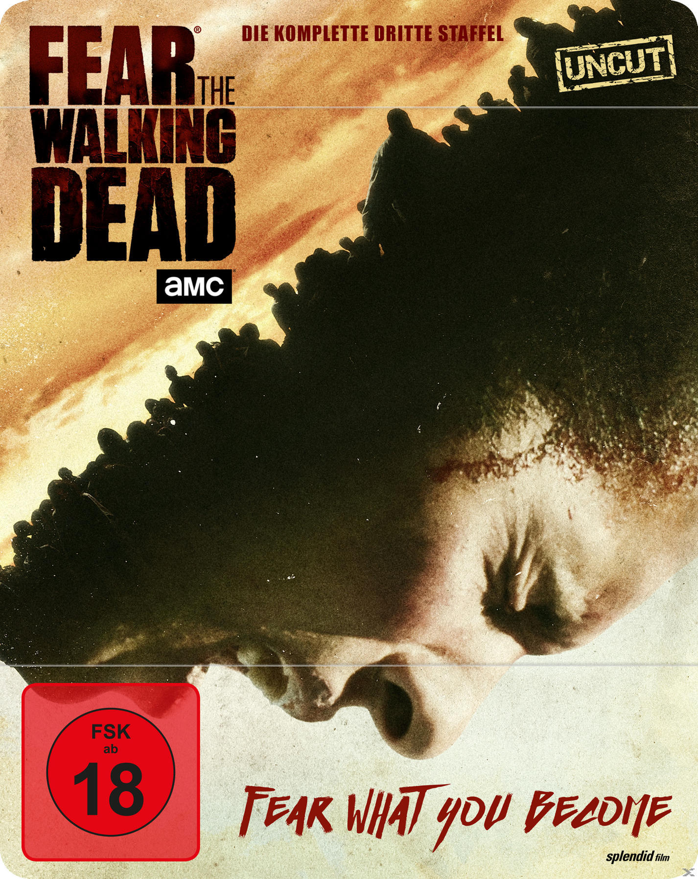 Fear the Walking Dead - Staffel 3 (Steelbook) Blu-ray