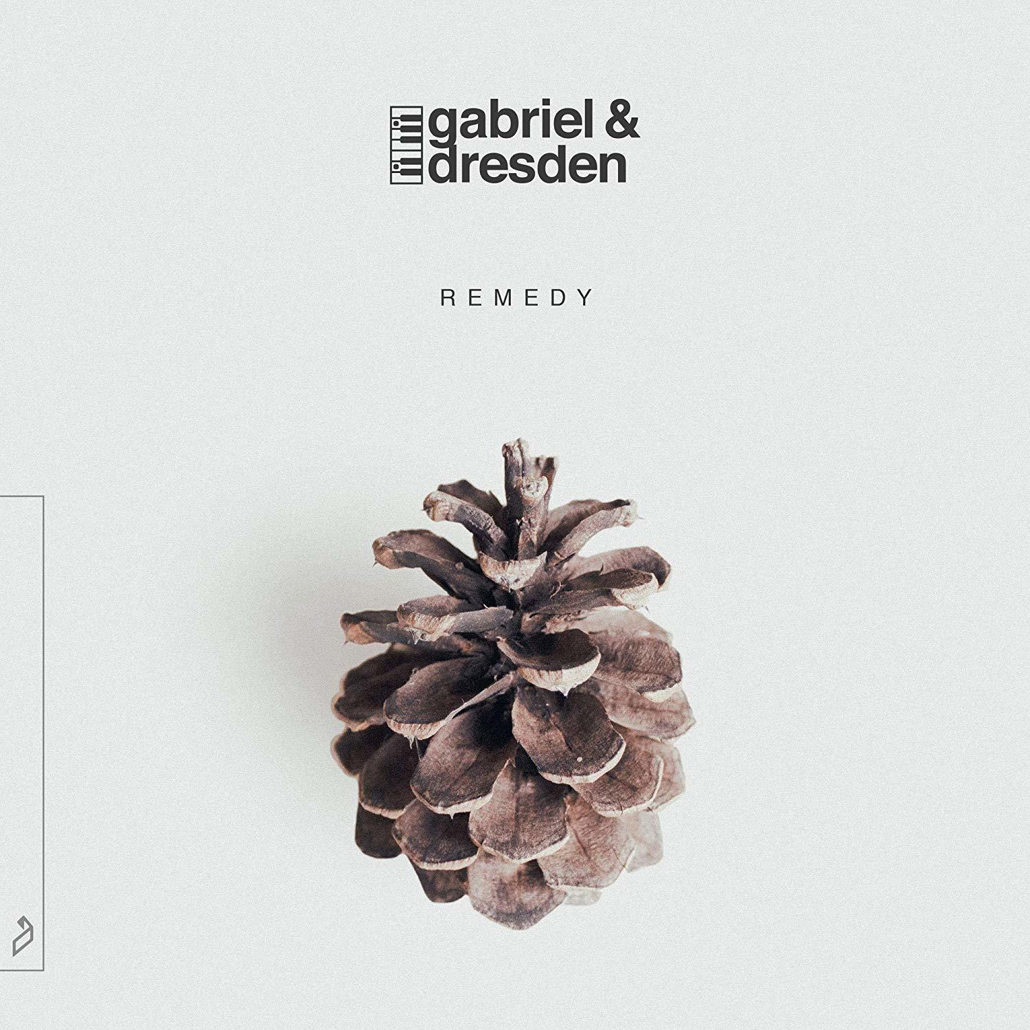& (Vinyl) Gabriel - Dresden REMEDY -