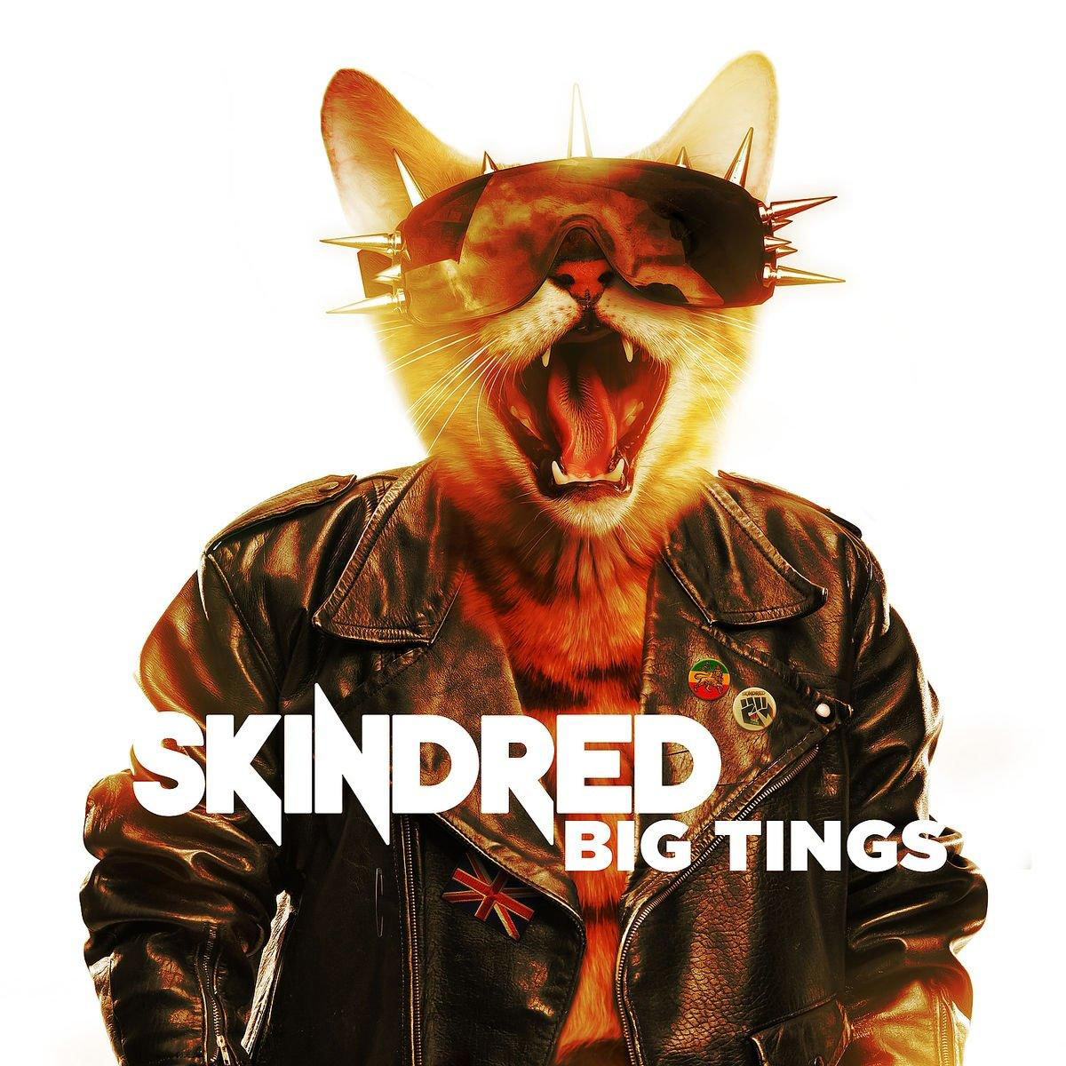 Skindred - Big Tings  - (CD)