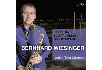 Bernhard Wiesinger - Notice That Moment  - (CD)