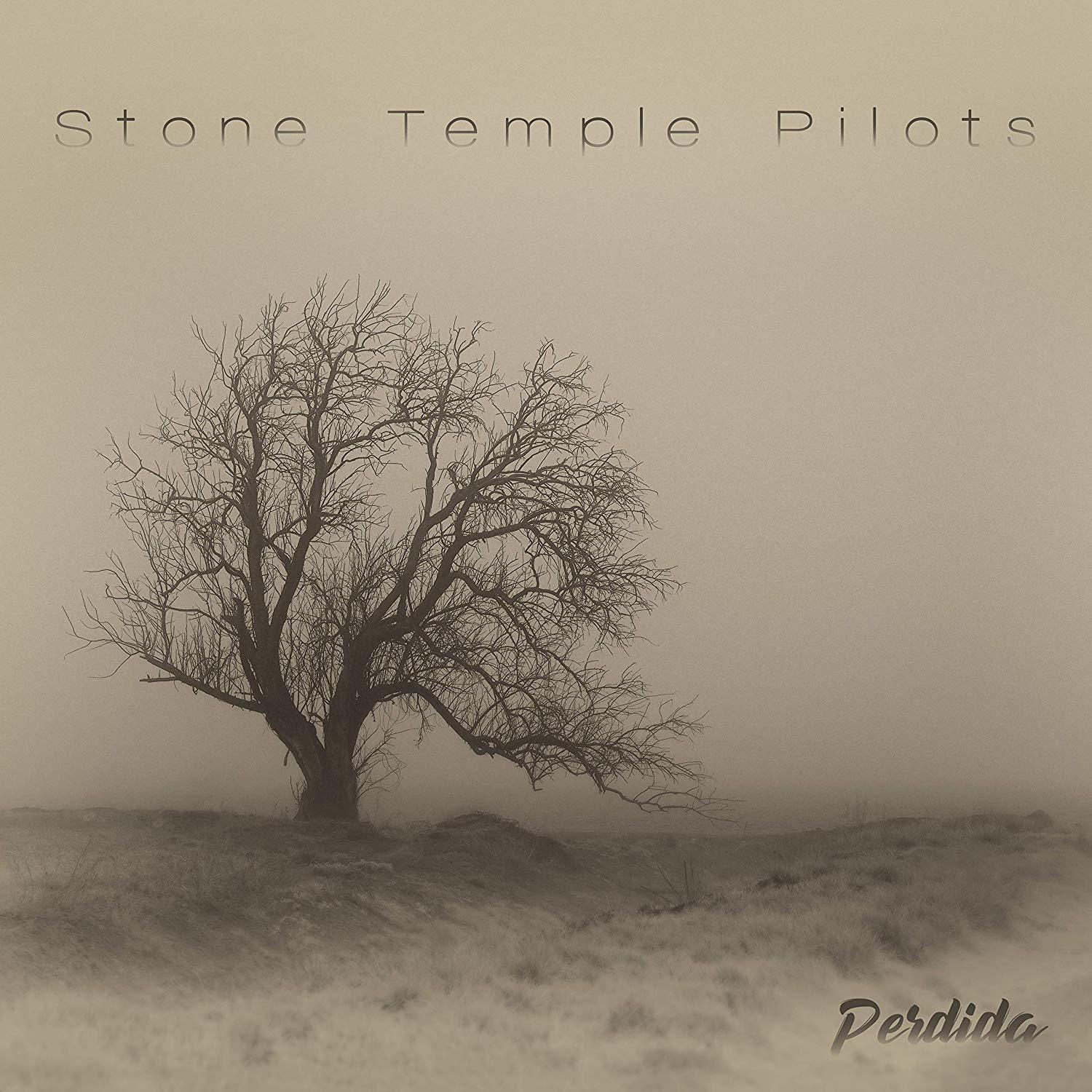 Pochette d'album avec un arbre nu dans un champ brumeux, avec le titre 'Perdida'.