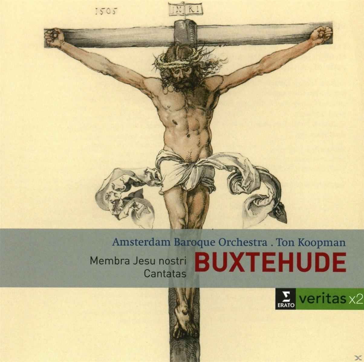 Jesus am Kreuz, mit Text: Amsterdam Baroque Orchestra, Buxtehude, Kantaten.