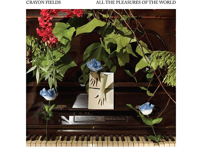 Crayon Fields - The World (Vinyl) (Deluxe Edition) Pleasures The All Of 