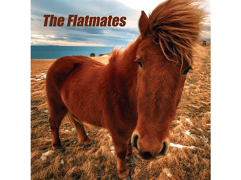 The THE (Vinyl) - FLATMATES Flatmates -