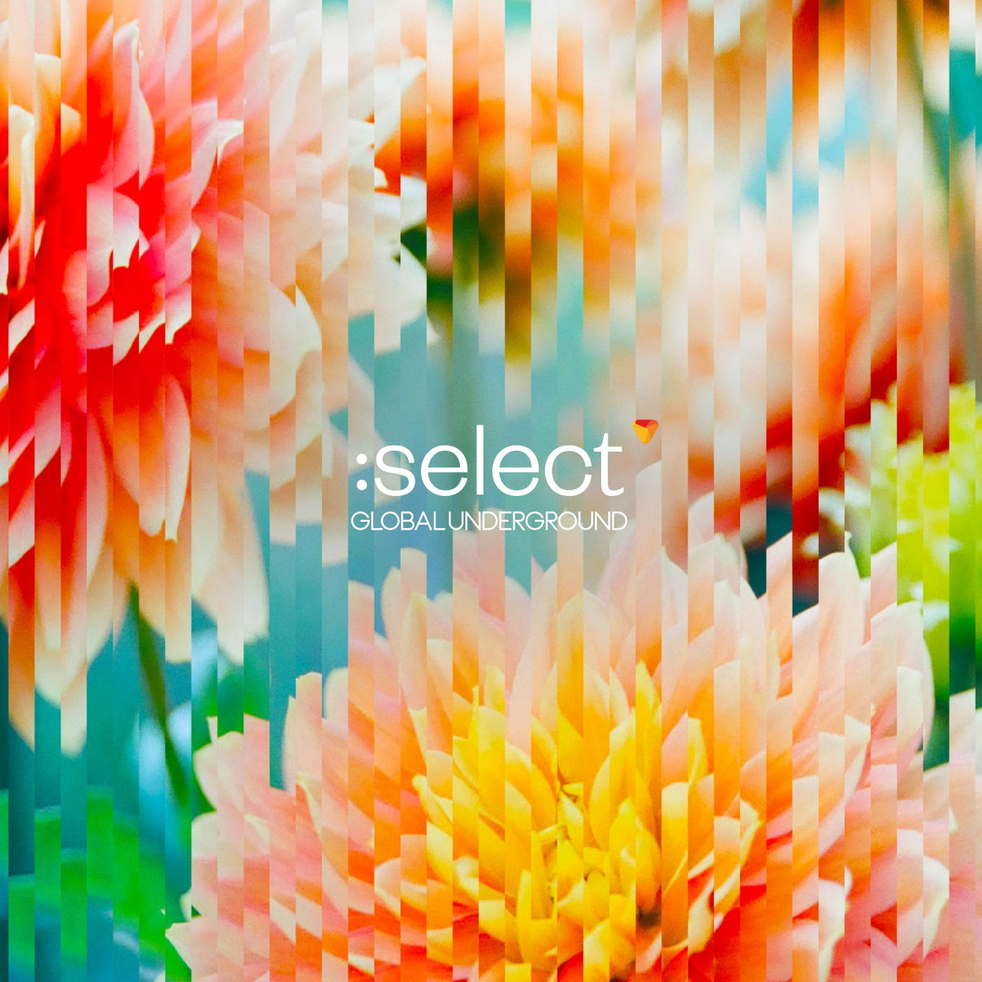 Albumcover, Blumen mit einem segmentierten, farbenfrohen Effekt.