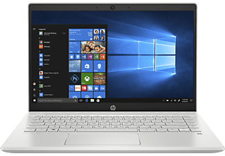 HP Pavilion 8BM70EA ezüst laptop (14,1" FHD/Core i5/8GB/128 GB SSD + 1 TB HDD/MX130 2GB/Win10H)