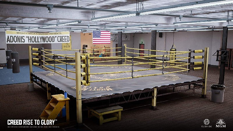 PS4 Creed: Rise to the Glory