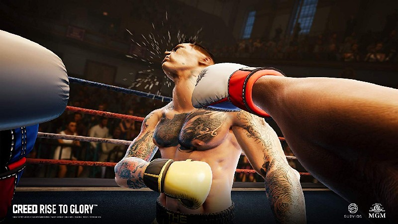 PS4 Creed: Rise to the Glory