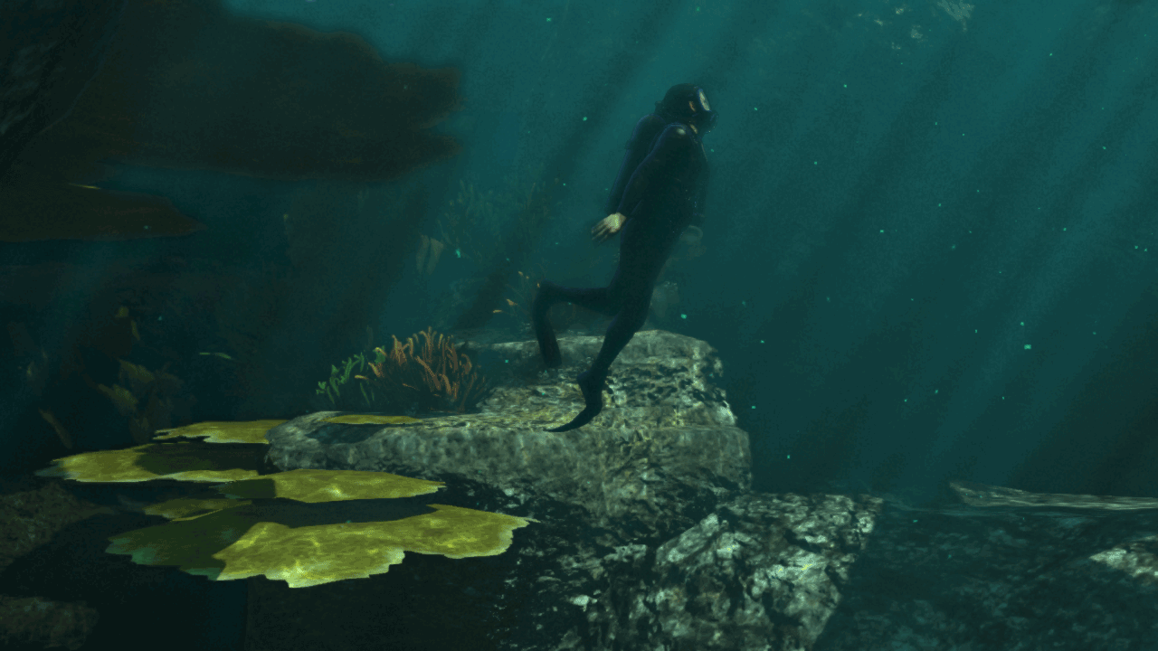 Ein Taucher in einem schwarzen Anzug schwimmt unter Wasser in der Nähe von Felsen und Pflanzen.