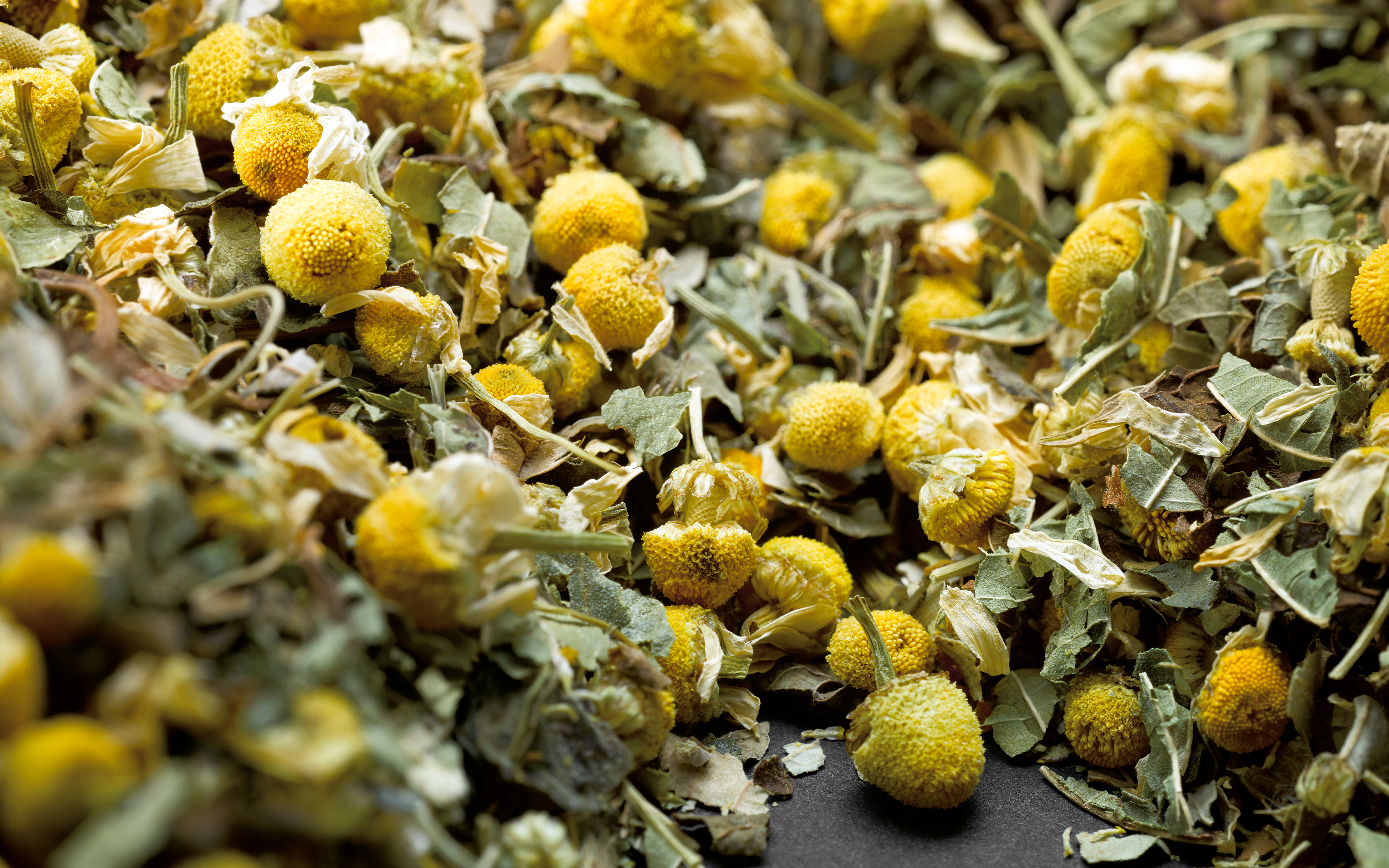 AVOURY 6000093 THE Teekapseln CAMOMILE