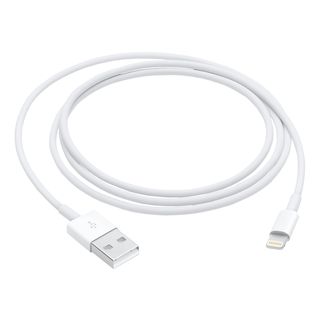 APPLE MXLY2 - Câble de charge (Blanc)