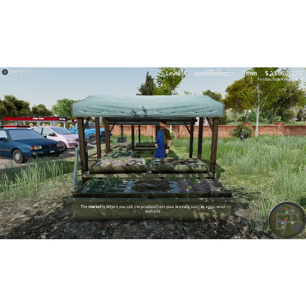 Nintendo Switch Professional Farmer: American Dream
