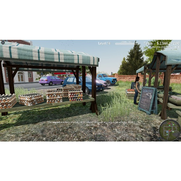 Nintendo Switch Professional Farmer: American Dream
