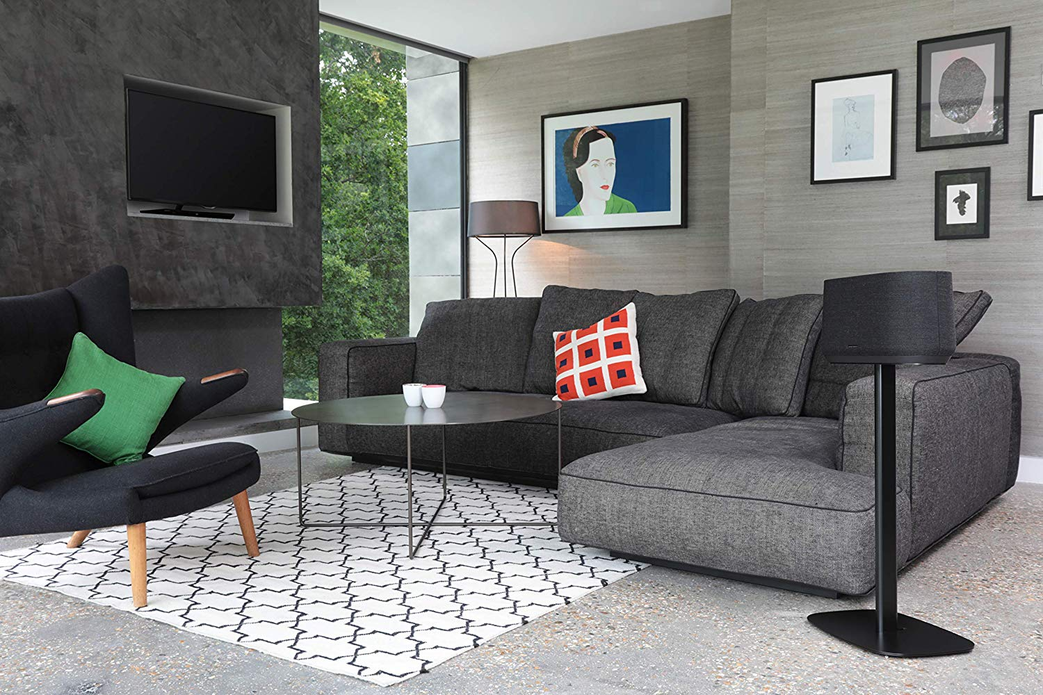 Salon avec canapé gris, art et un tapis. Un téléviseur est monté au-dessus d'une cheminée.