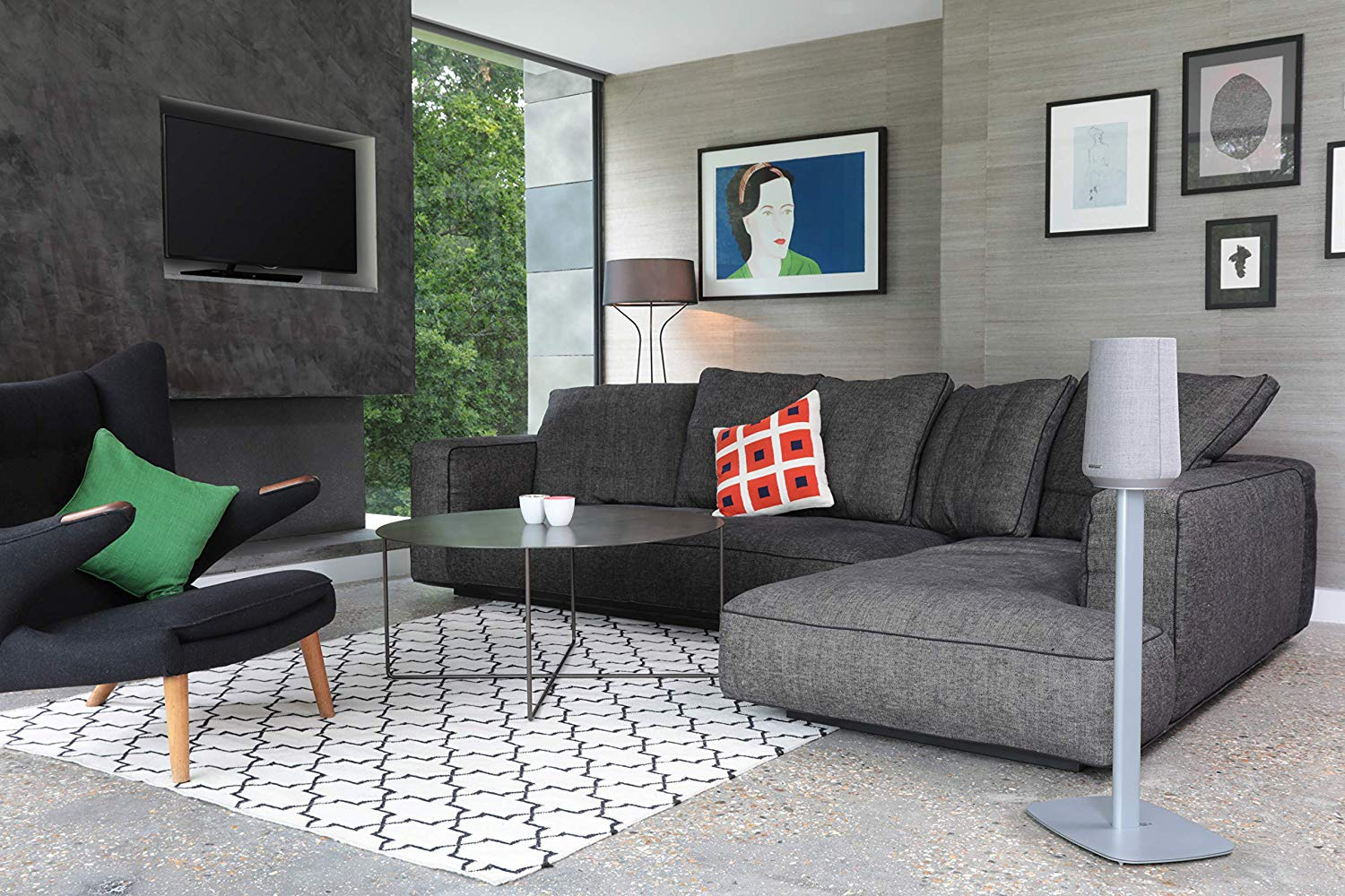 Woonkamer met grijze bank, kunst, vloerkleed, luidspreker op standaard en groen kussen.