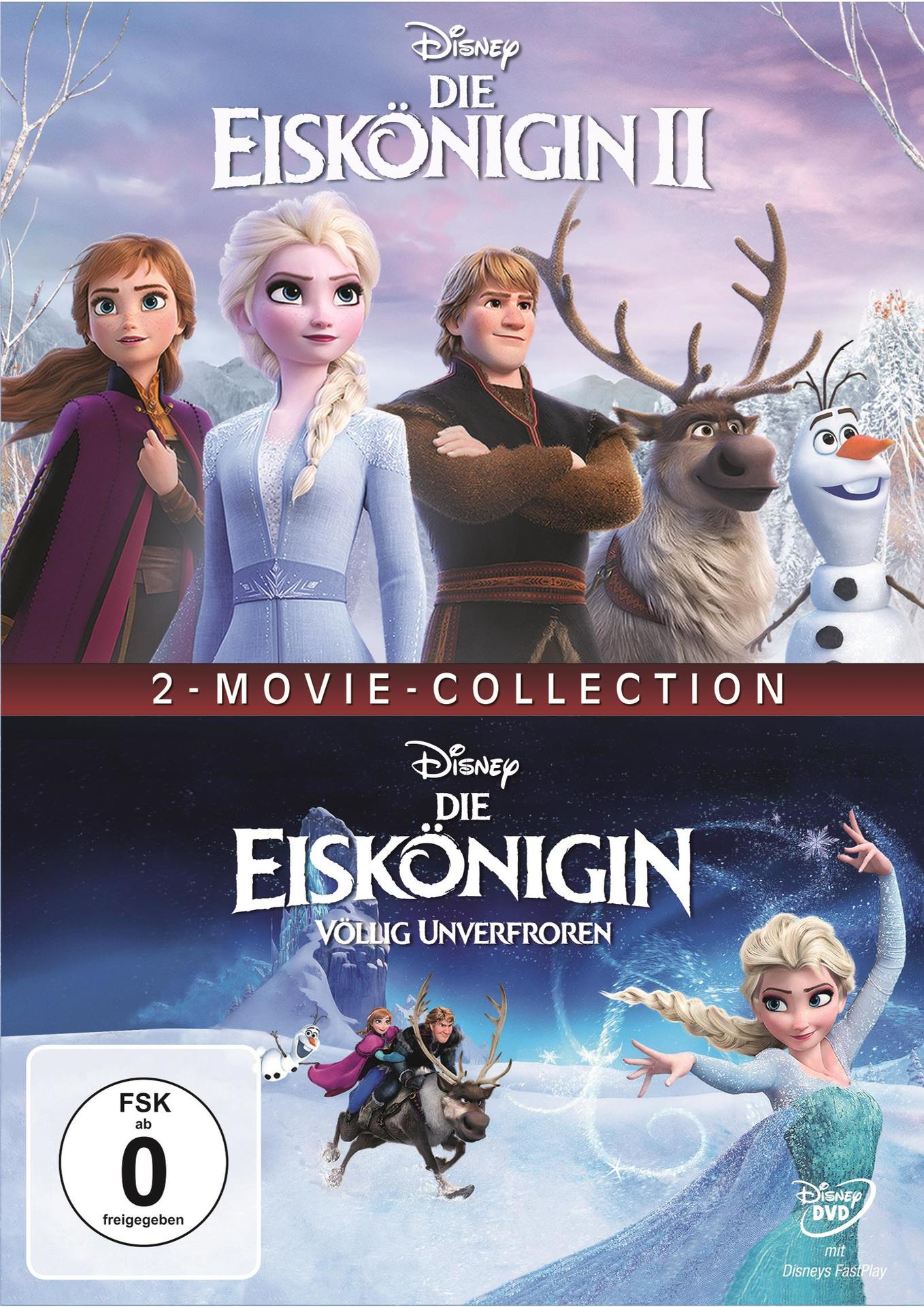 Frozen II DVD-Cover. Zeigt Charaktere des Films vor verschneitem Hintergrund.