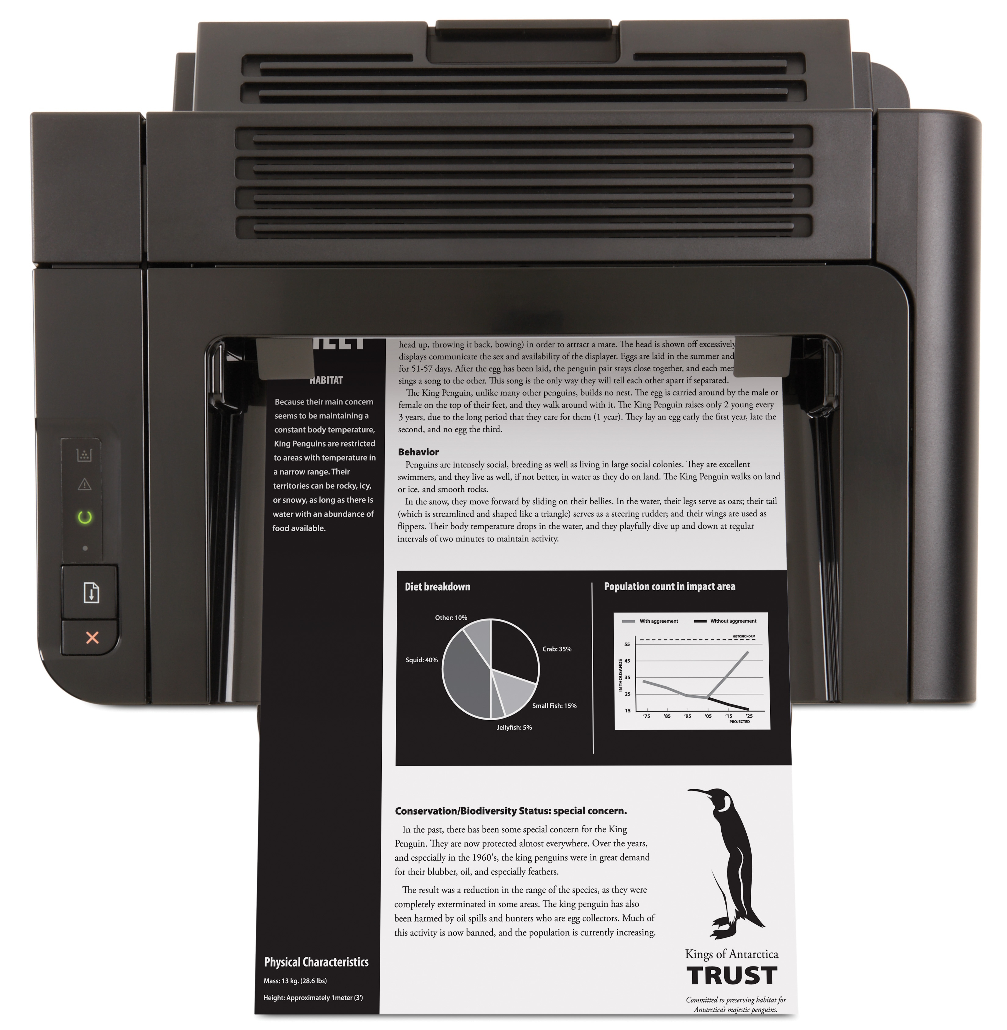 Impresora - HP LaserJet Pro P1606dn
