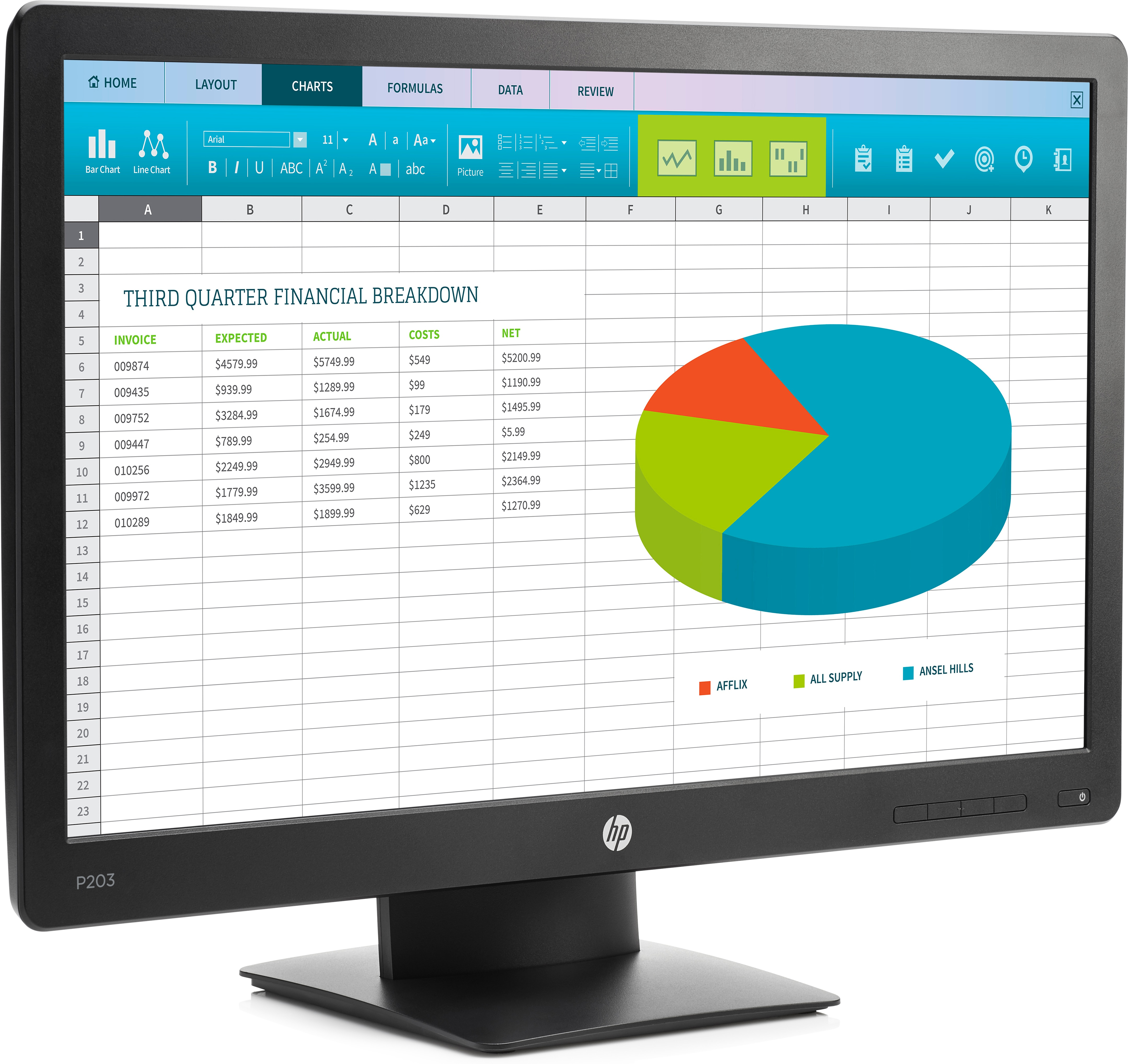 HP ProDisplay P203