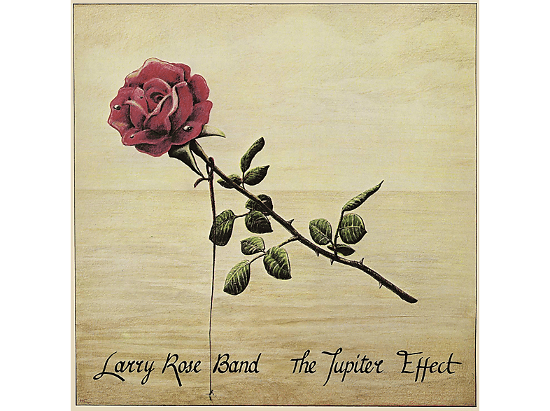 Larry - Band EFFECT (Vinyl) - Rose JUPITER