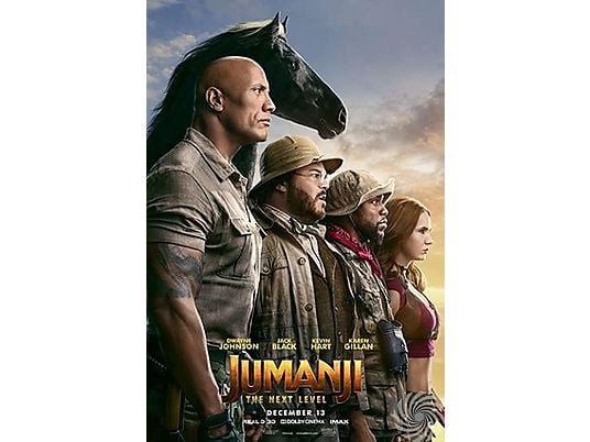 Jumanji - The Next Level (Steelbook) | 4K Ultra HD Blu-ray