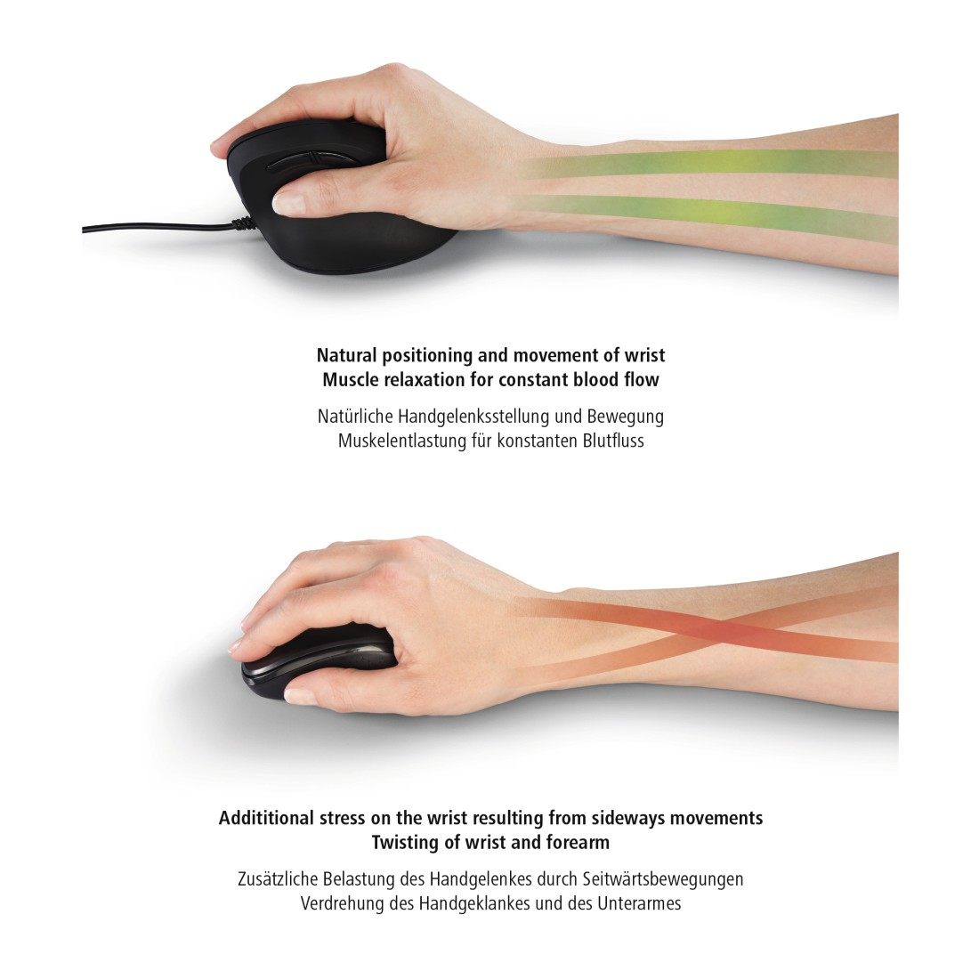 Hands with a mouse, showing correct and incorrect positions.
