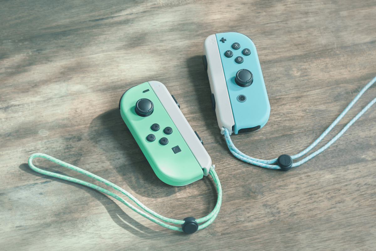 NINTENDO Switch Animal Crossing: New Horizons-Edition