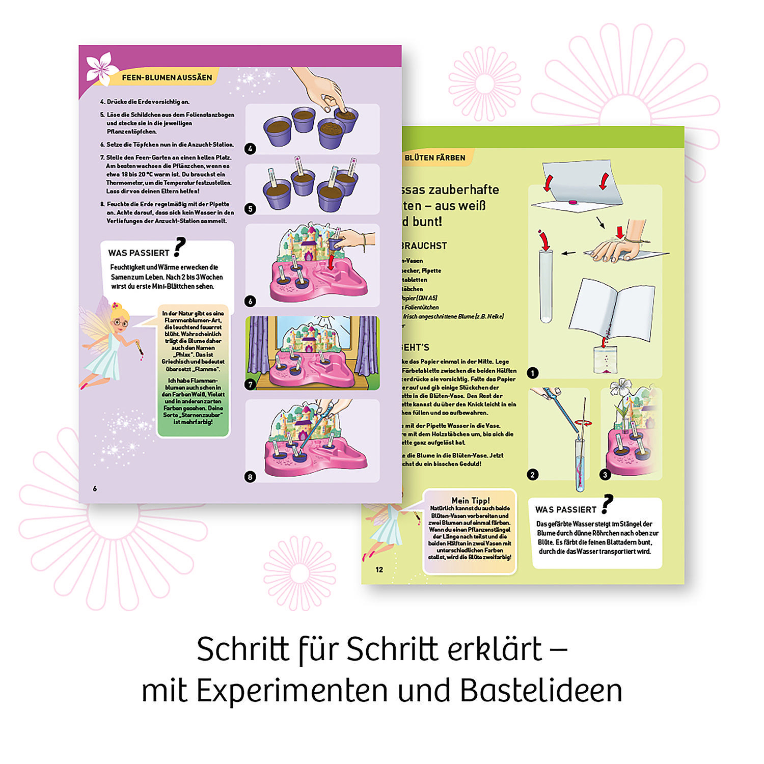 Zwei offene Seiten eines Buches über Blumenexperimente. Es zeigt die Schritte der Experimente.