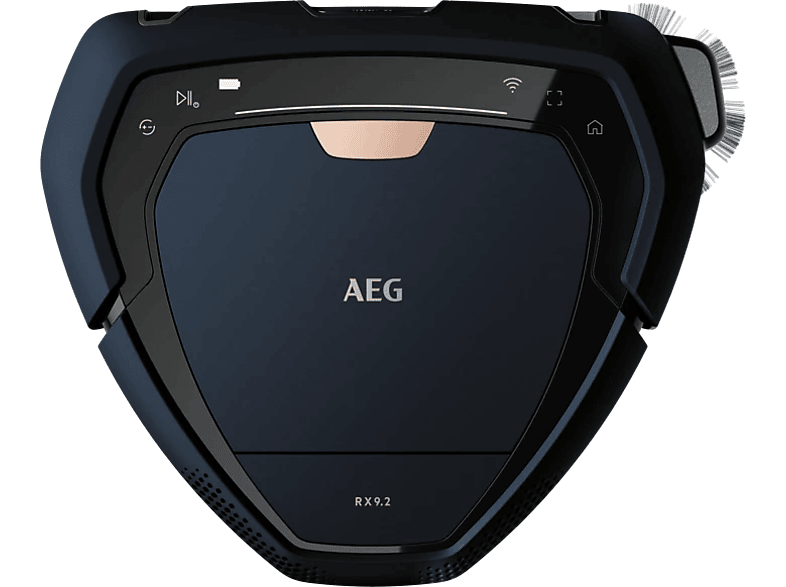 AEG RX9-2-4STN