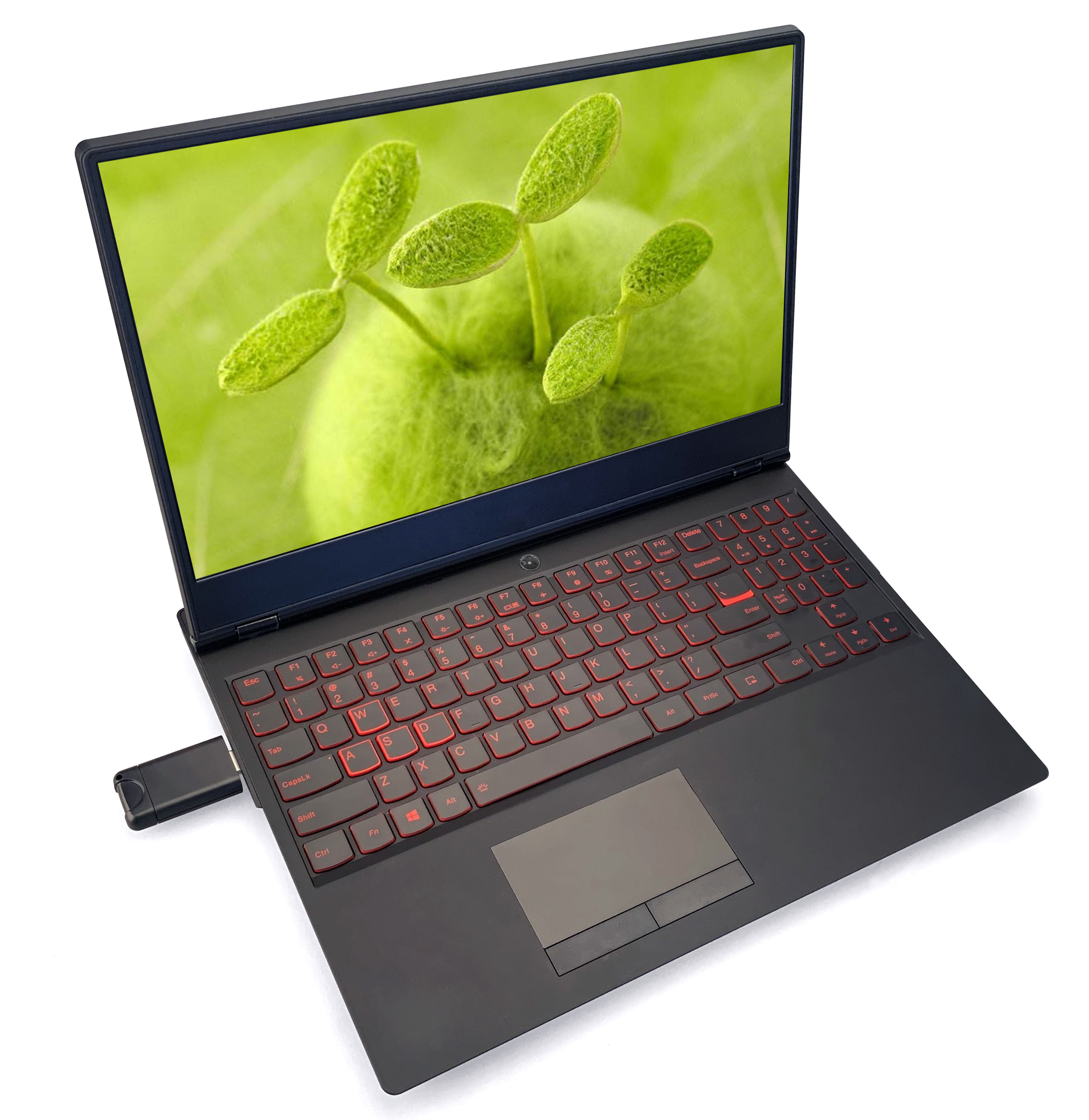 Ein schwarzer Laptop mit roter Tastatur, USB-Gerät und grünem Bildschirm mit Pflanze.