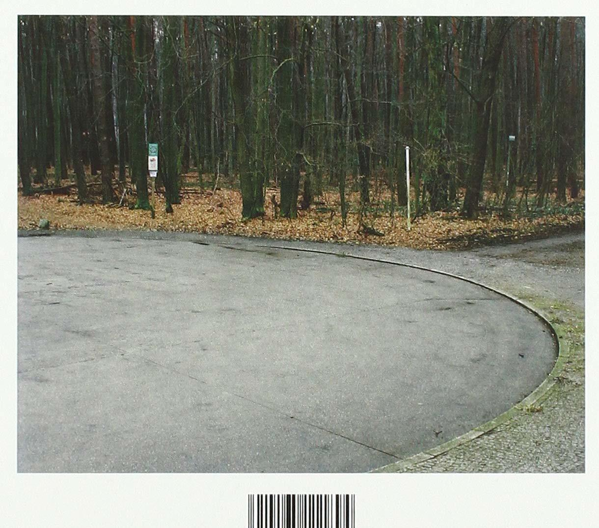 Une route asphaltée incurvée dans une forêt, avec des arbres et des feuilles mortes.