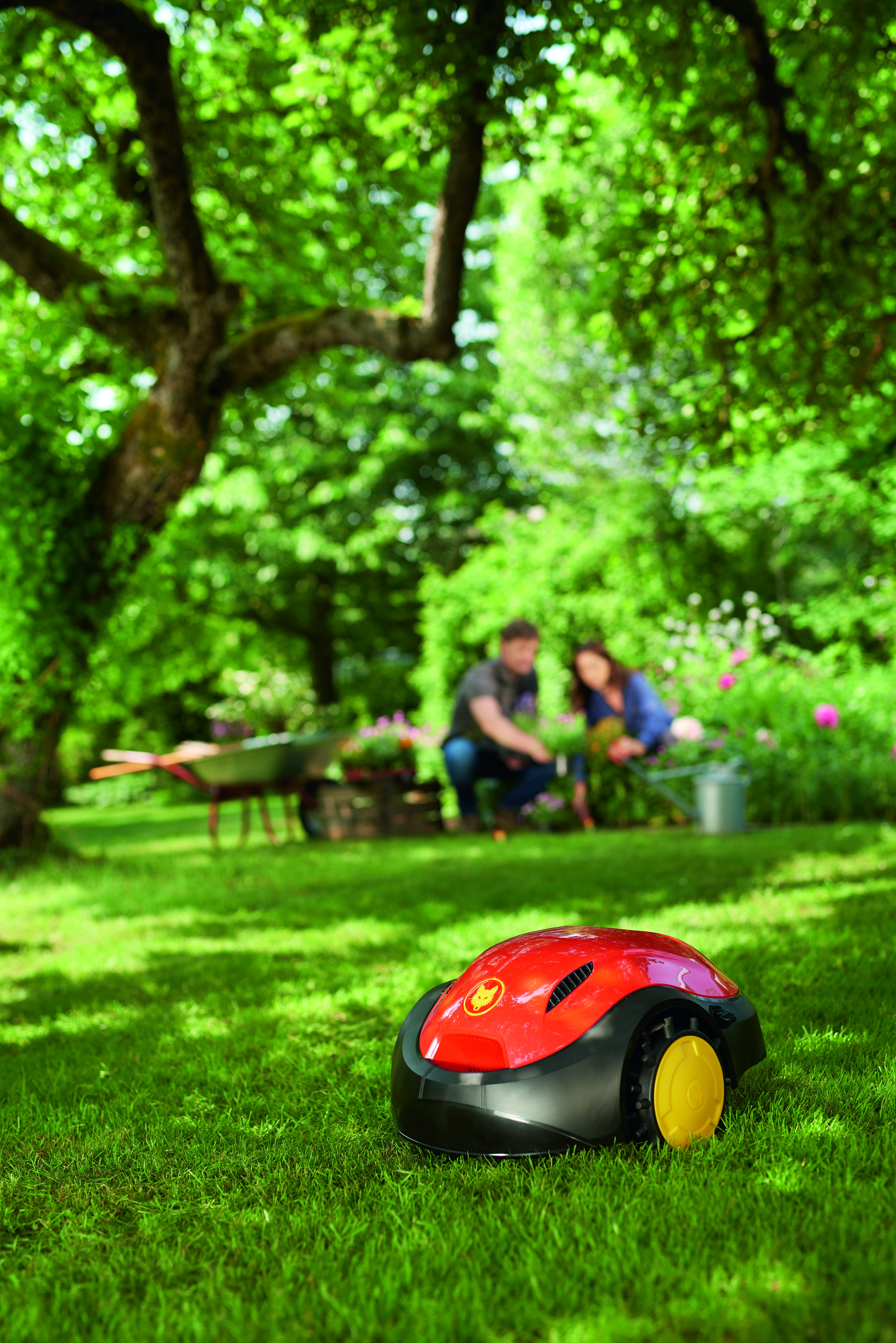 WOLF GARTEN LOOPO S300, Mähroboter, für bis zu 300 m²