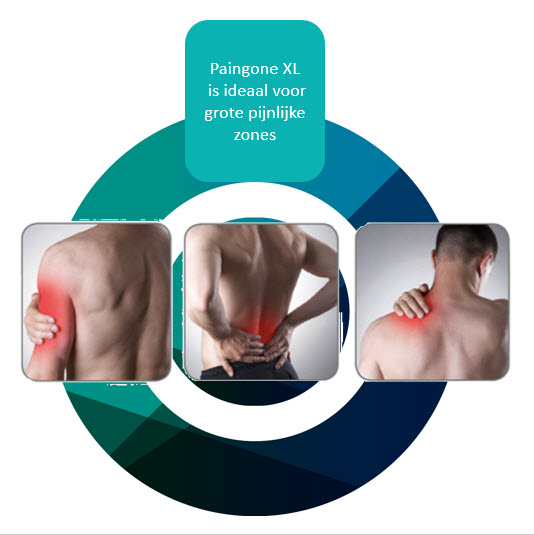 Diagramme montrant les zones du corps avec des indicateurs de douleur rouges, avec du texte sur Paingone XL.