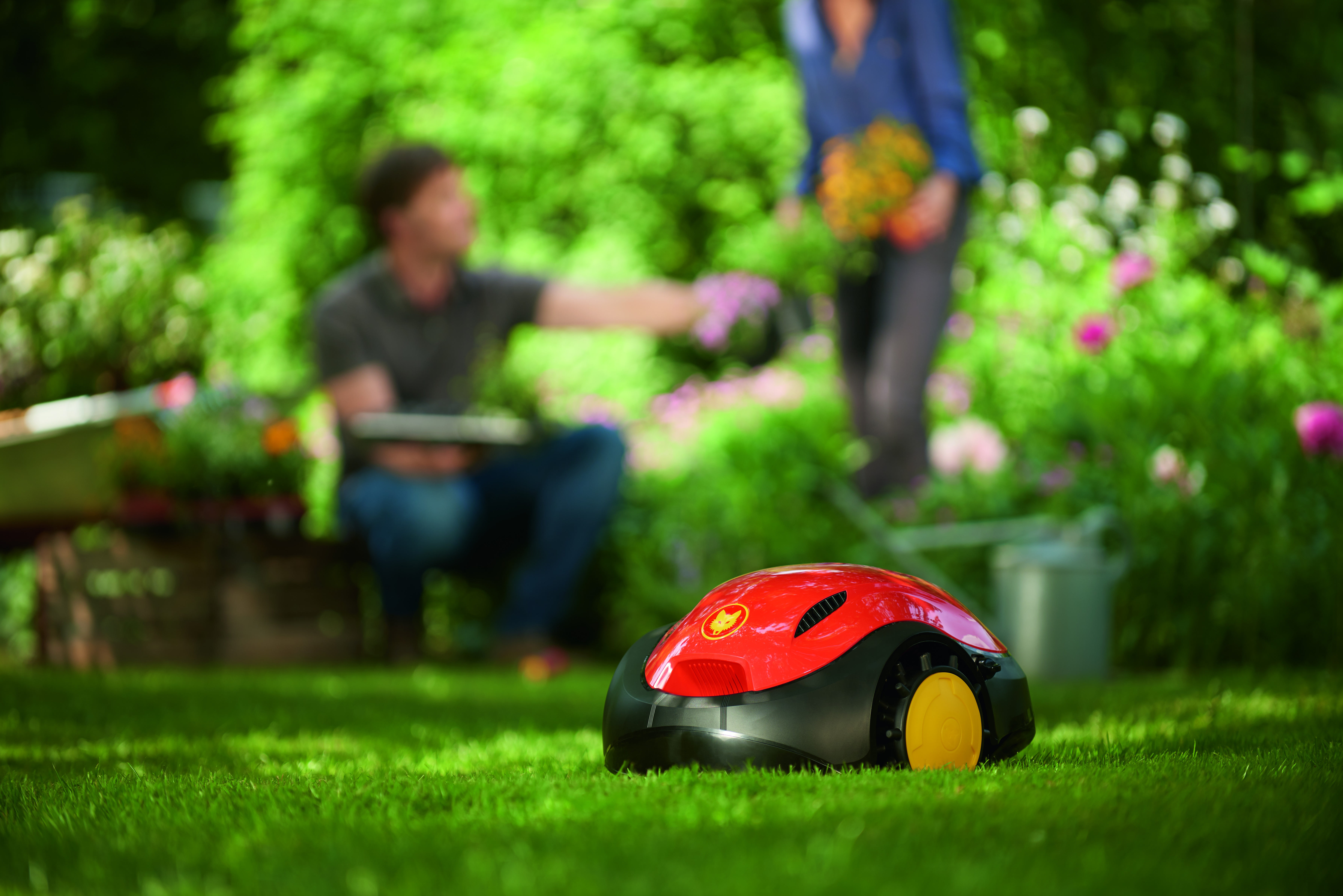 WOLF GARTEN LOOPO S300, Mähroboter, für bis zu 300 m²