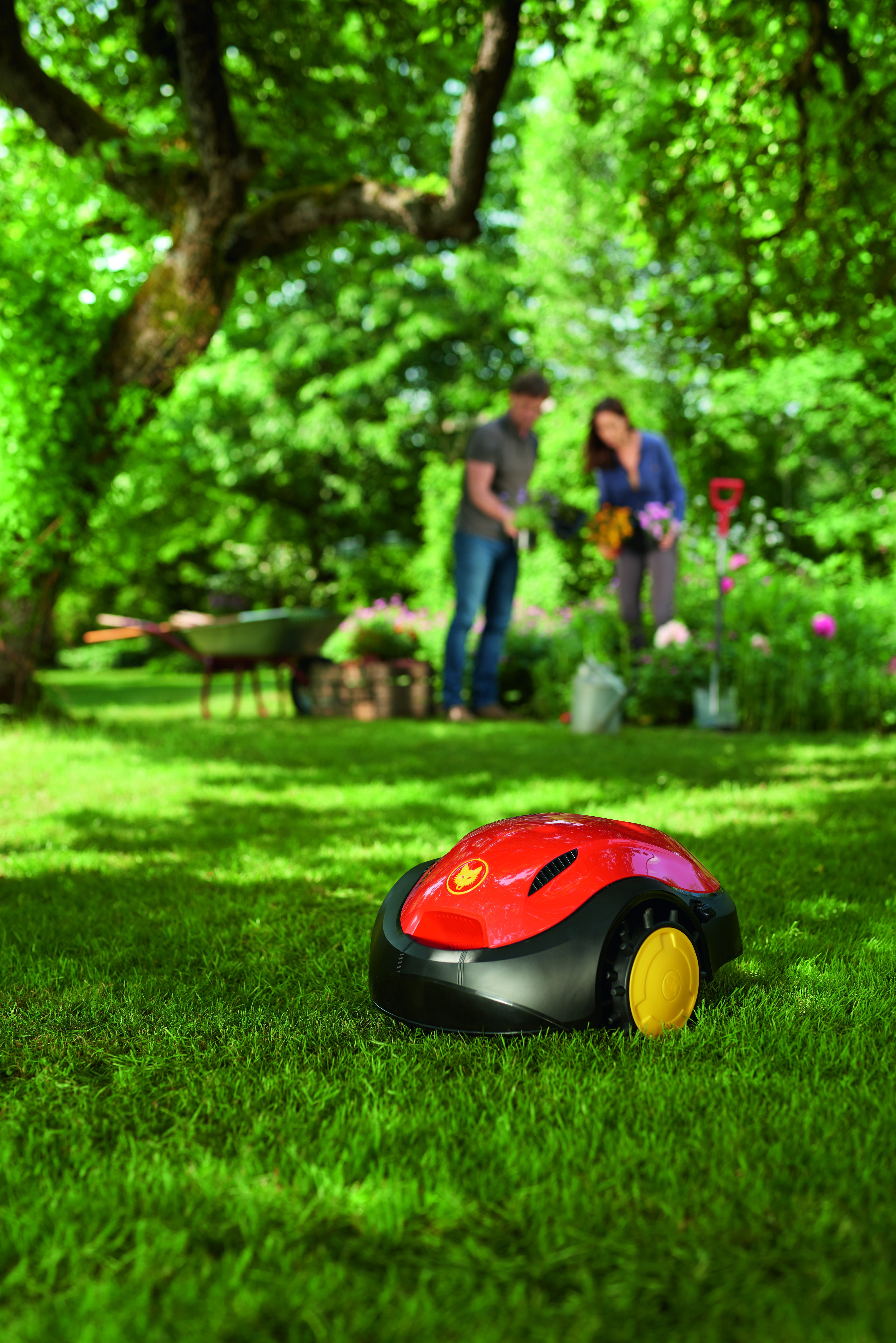 WOLF GARTEN LOOPO S300, Mähroboter, für bis zu 300 m²