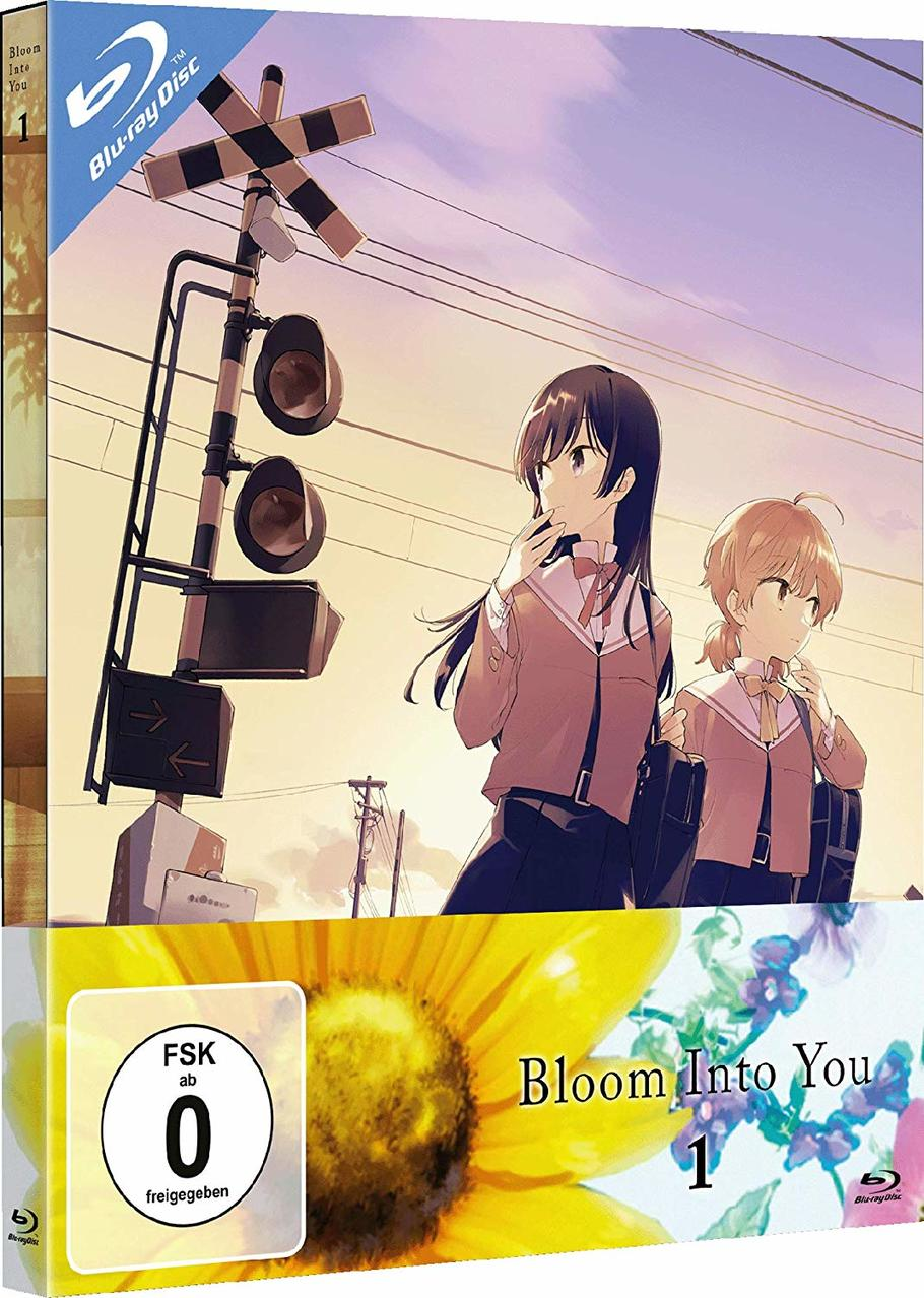 Anime Blu-ray Cover. Zwei Mädchen an einem Bahnübergang. Titel: Bloom Into You.