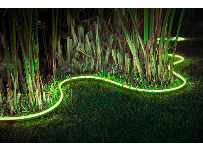 Une bande lumineuse vert néon ondulée éclaire l'herbe et les hautes plantes la nuit.