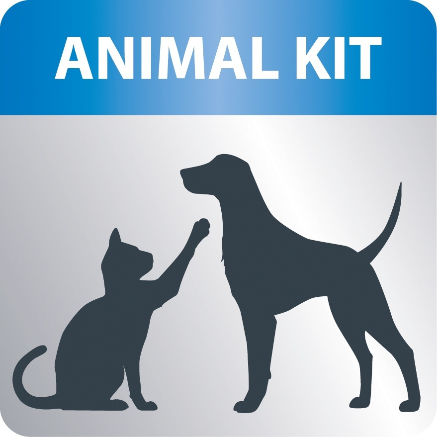 Animal Kit Logo mit Katze, die mit Hund spielt. Katze und Hund sind Silhouetten. Blauer Balken oben.