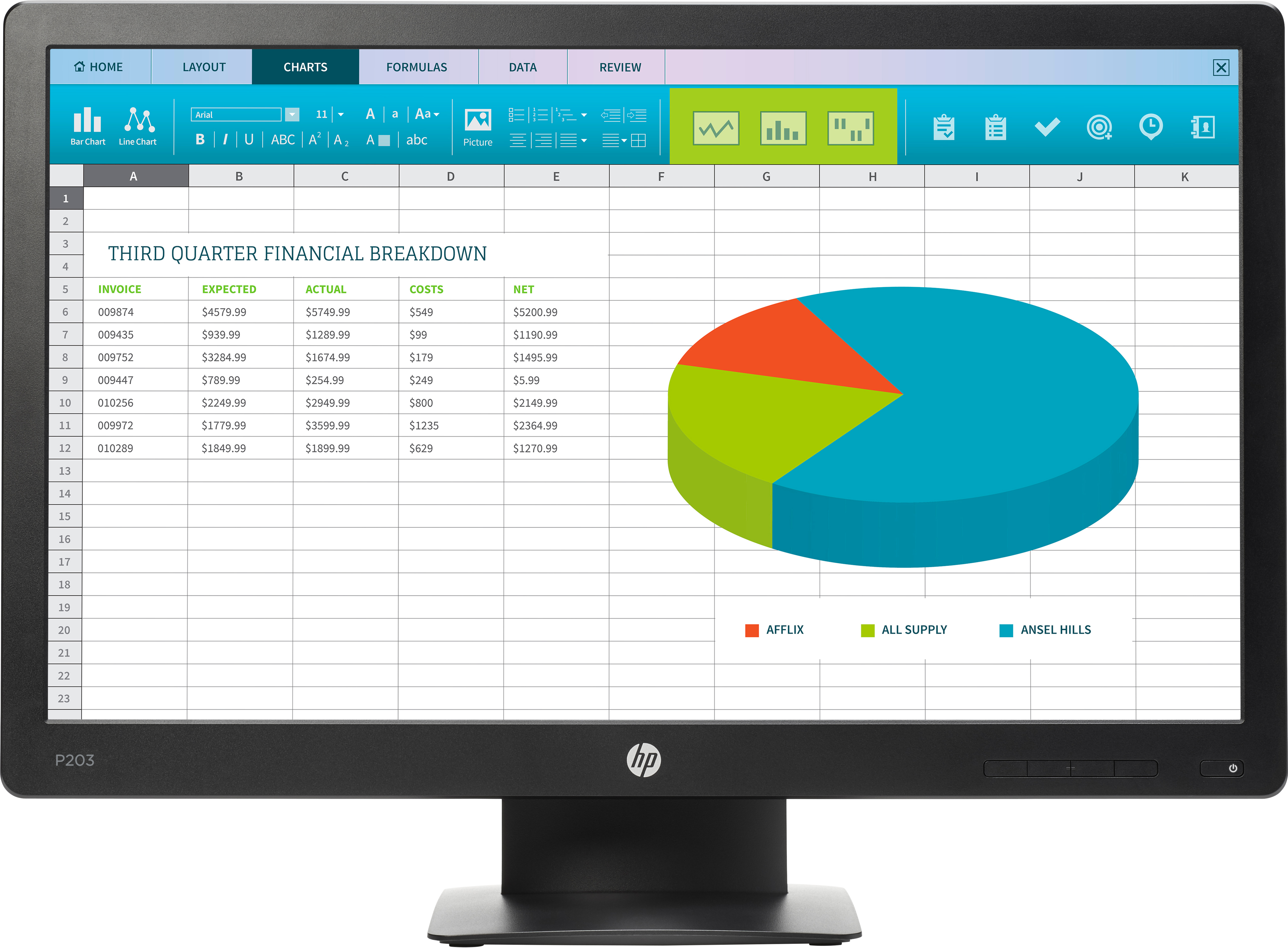 HP ProDisplay P203