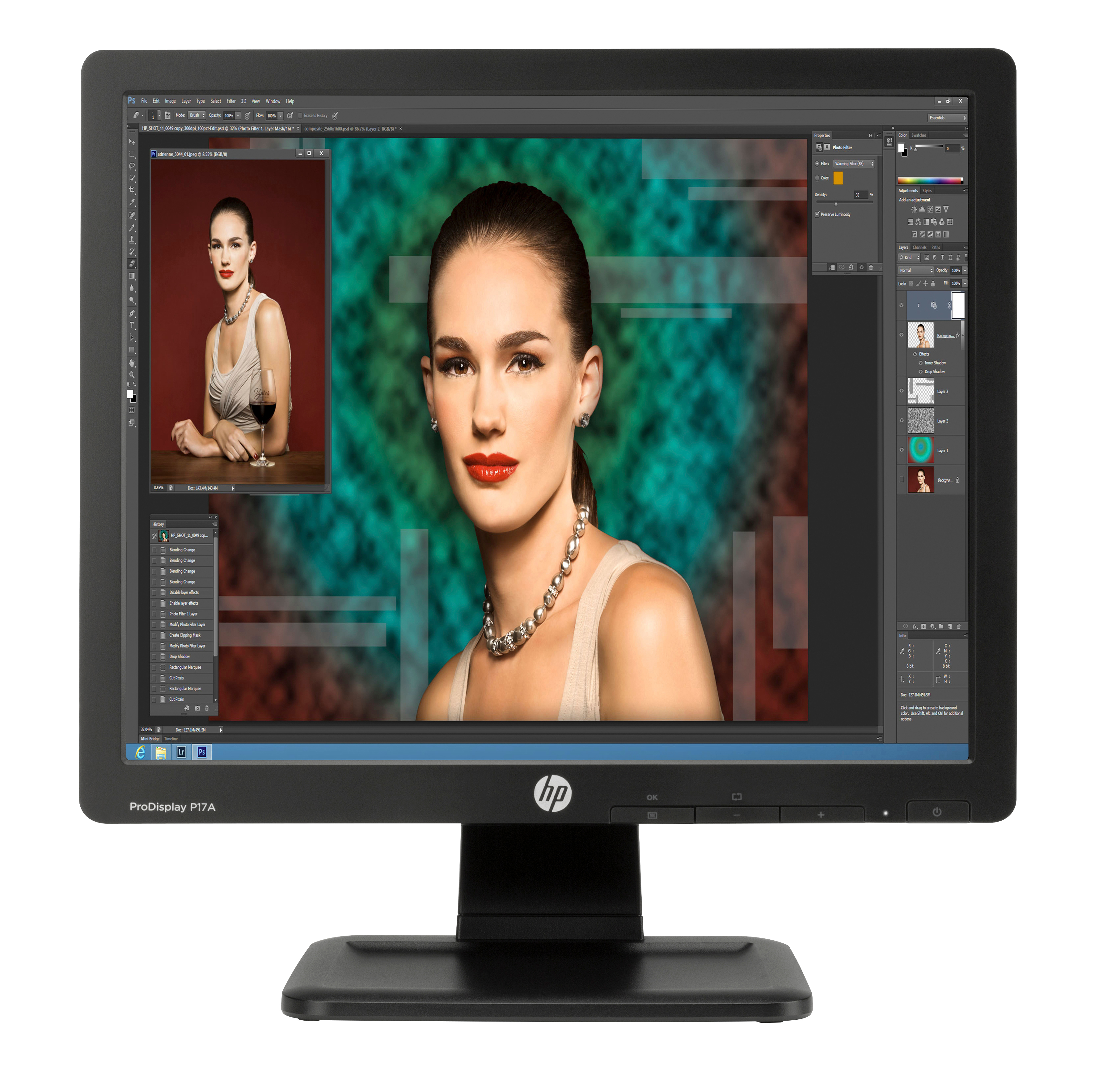 HP ProDisplay P17A