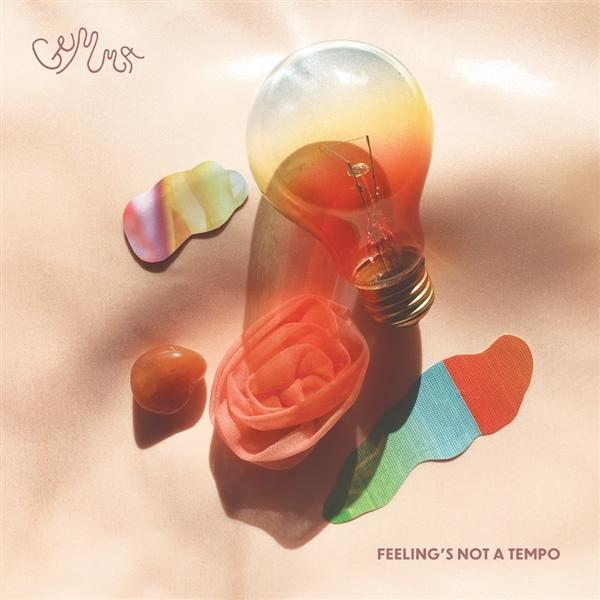 TEMPO Gemma (Vinyl) - A S NOT FEELING -