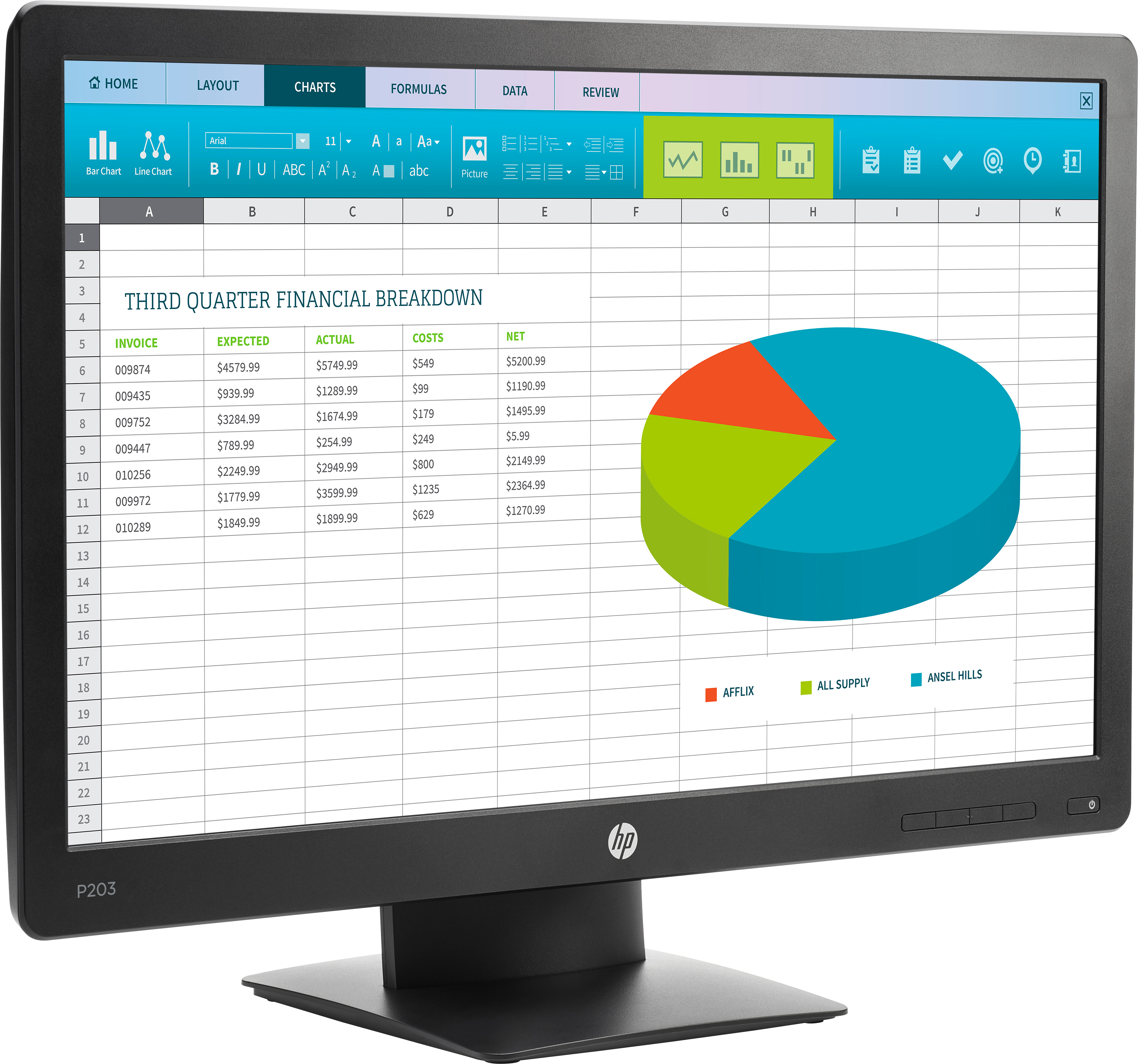 HP ProDisplay P203