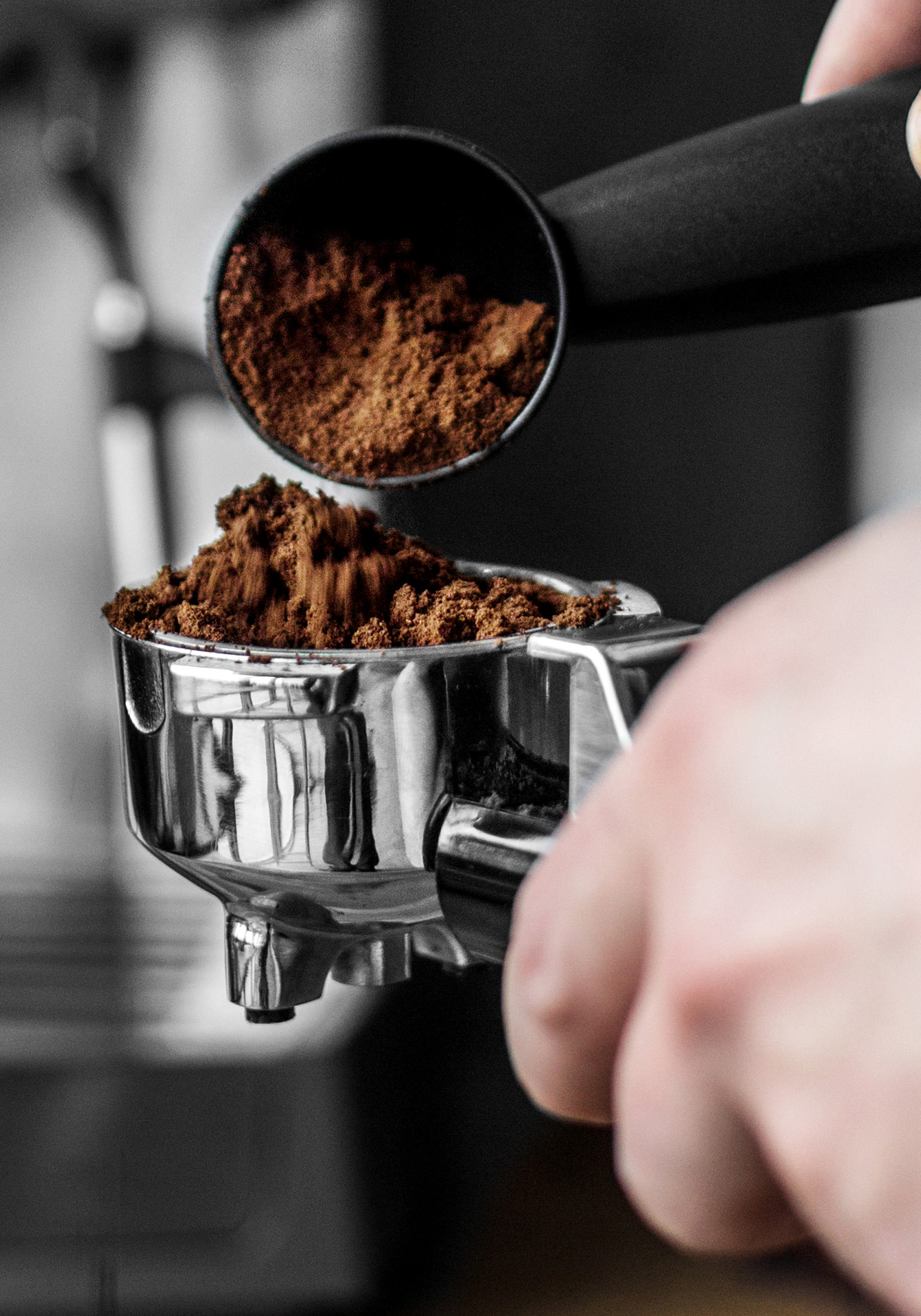 Die Hand einer Person hält einen Siebträger mit gemahlenem Kaffee. Espressomaschine.