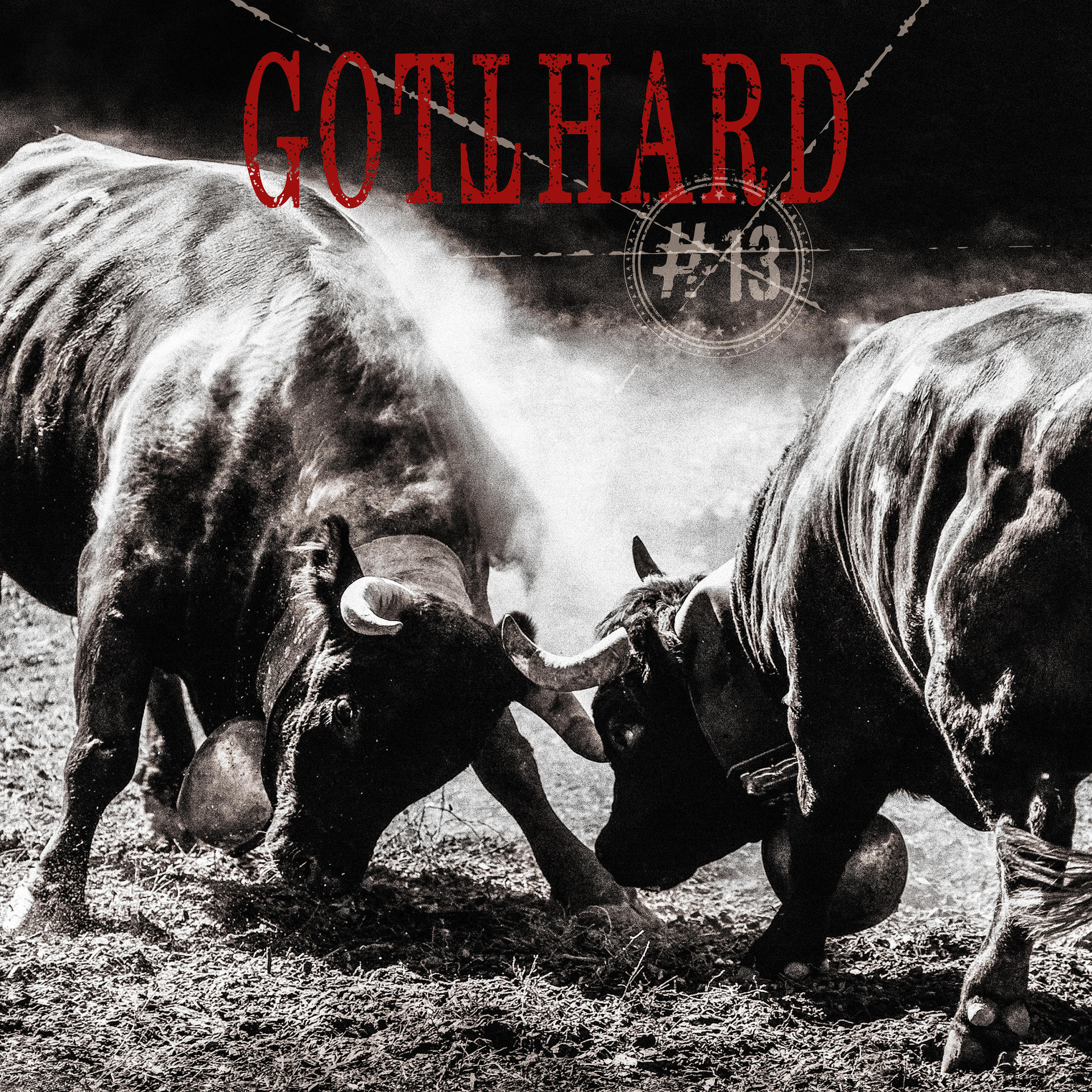 Albumhoes. Gotthard #13. Twee vechtende stieren, donkere achtergrond, stoffige scène, zwart-wit.