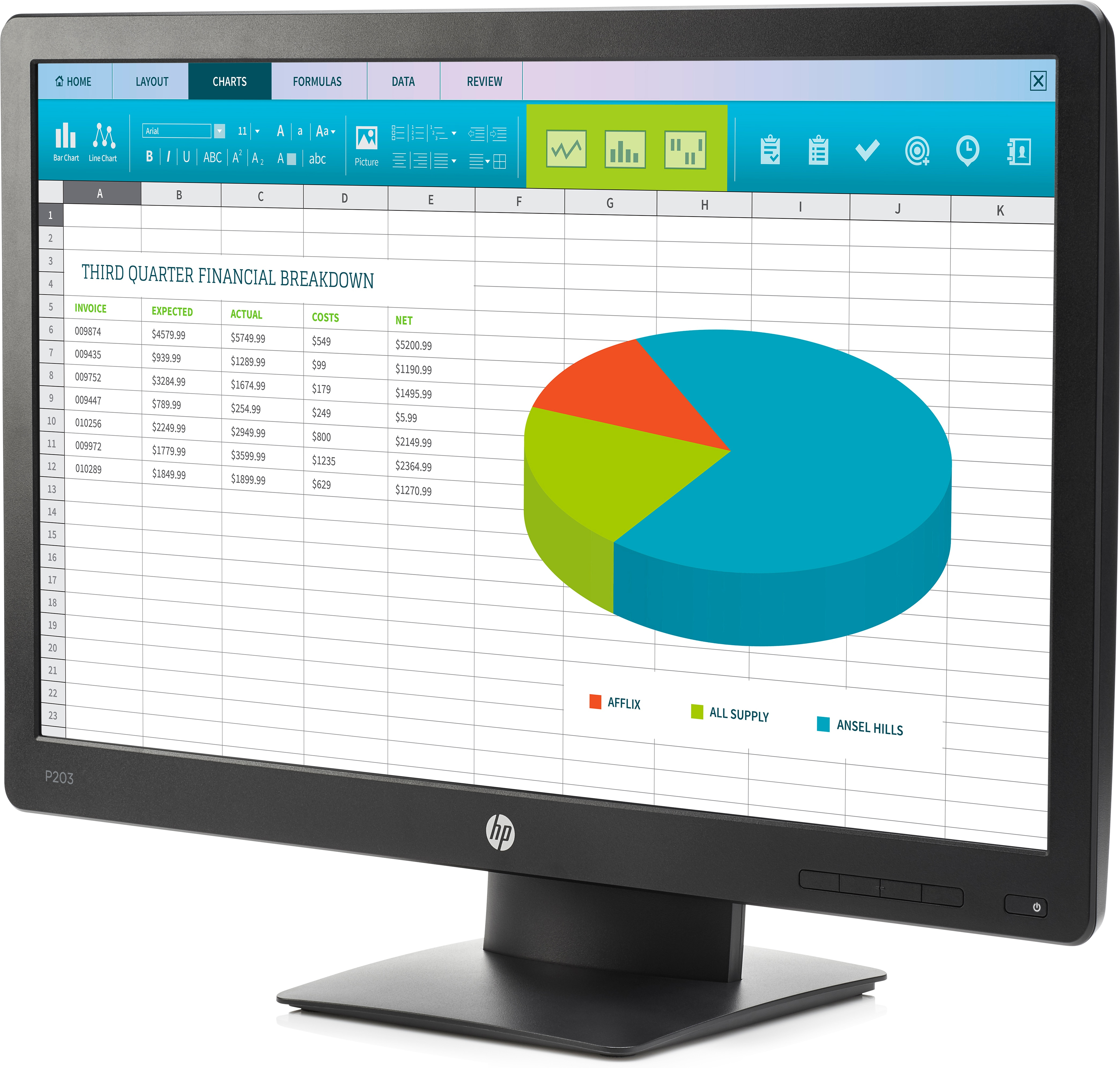 HP ProDisplay P203