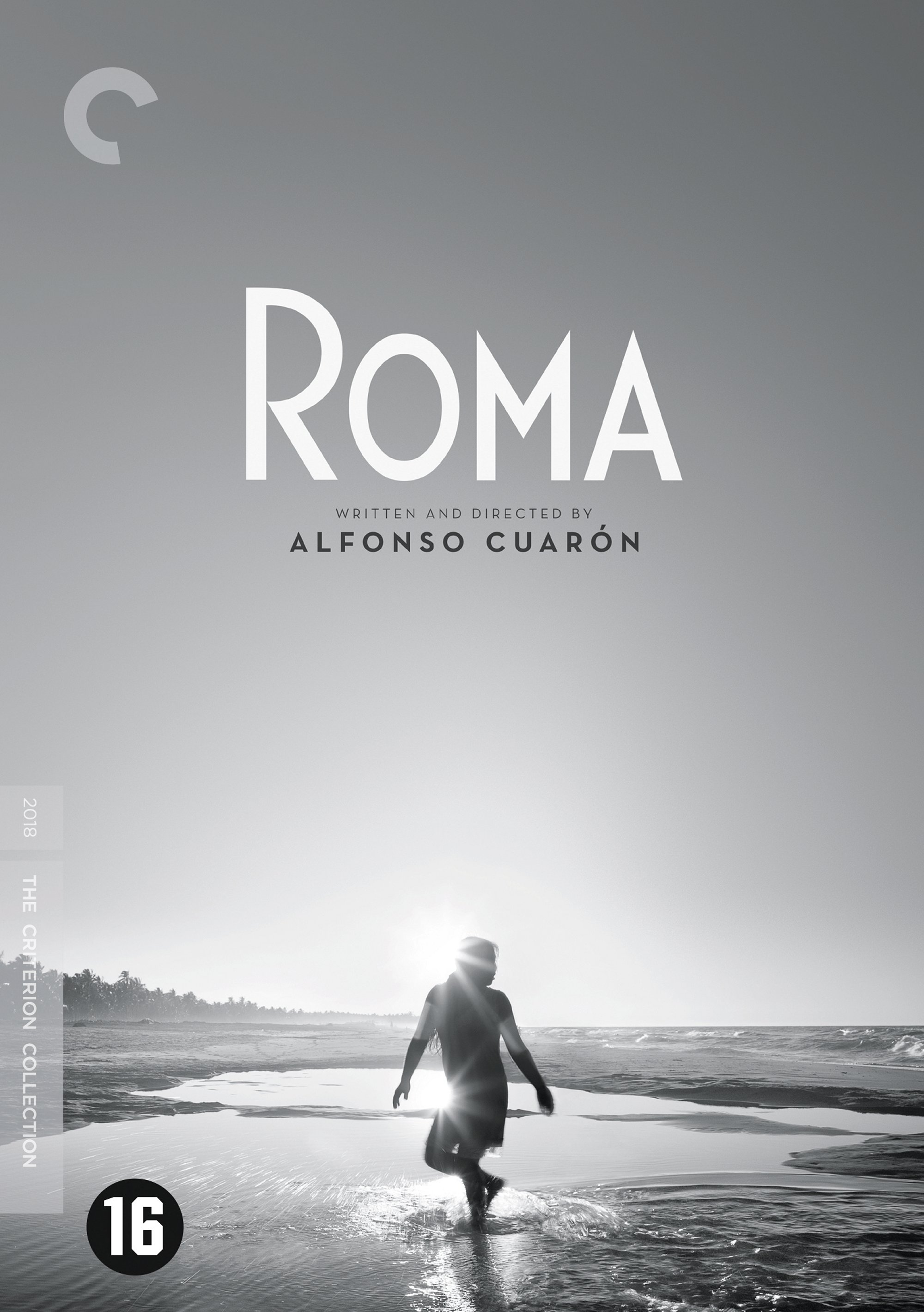 Roma filmposter, zwart-wit, man in het water.