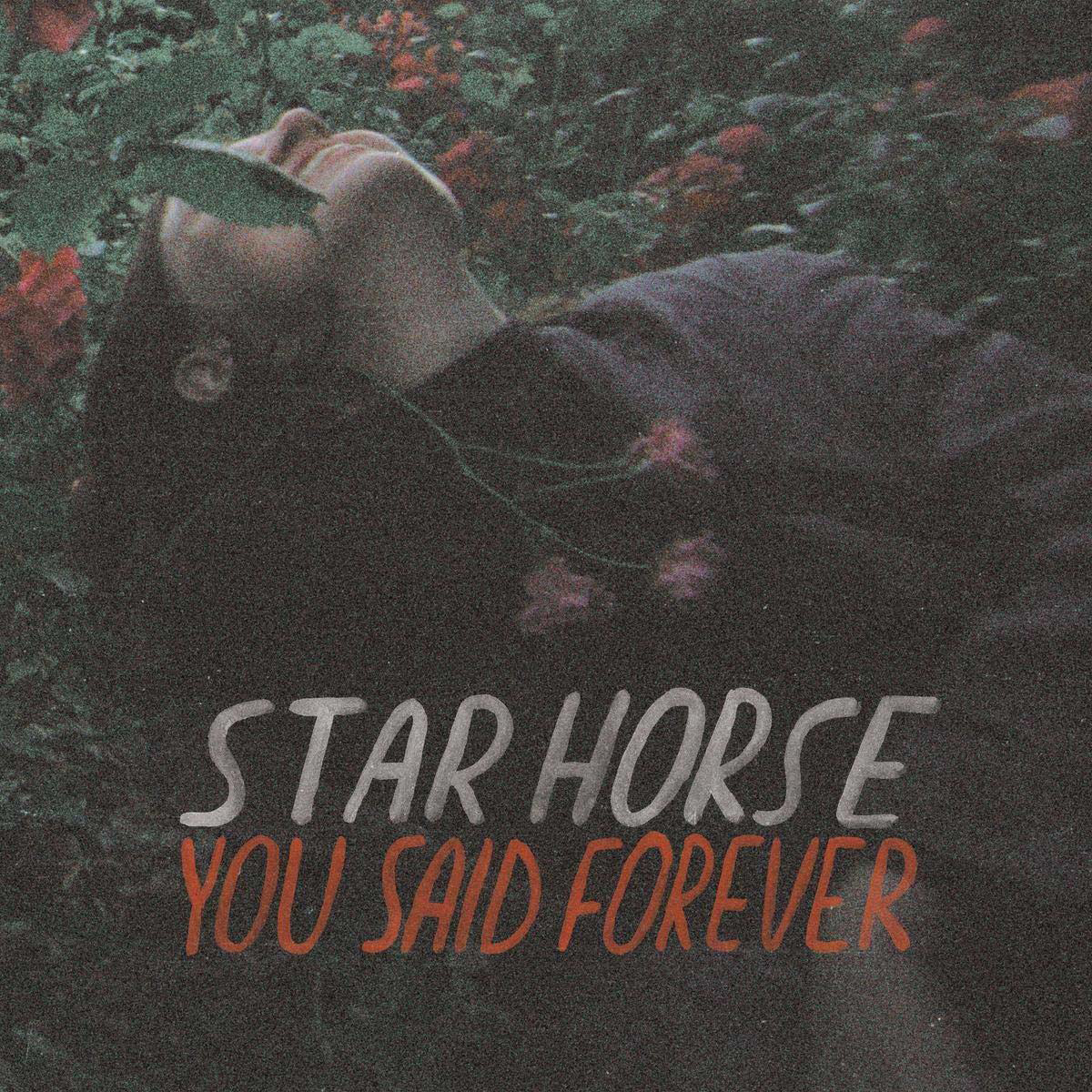 (Vinyl) - Forever Said Star You Horse -