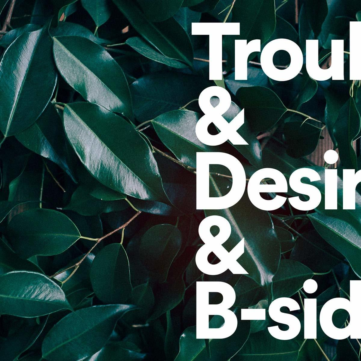 Tiger Lou - Trouble & Desire and B-sides  - (Vinyl)