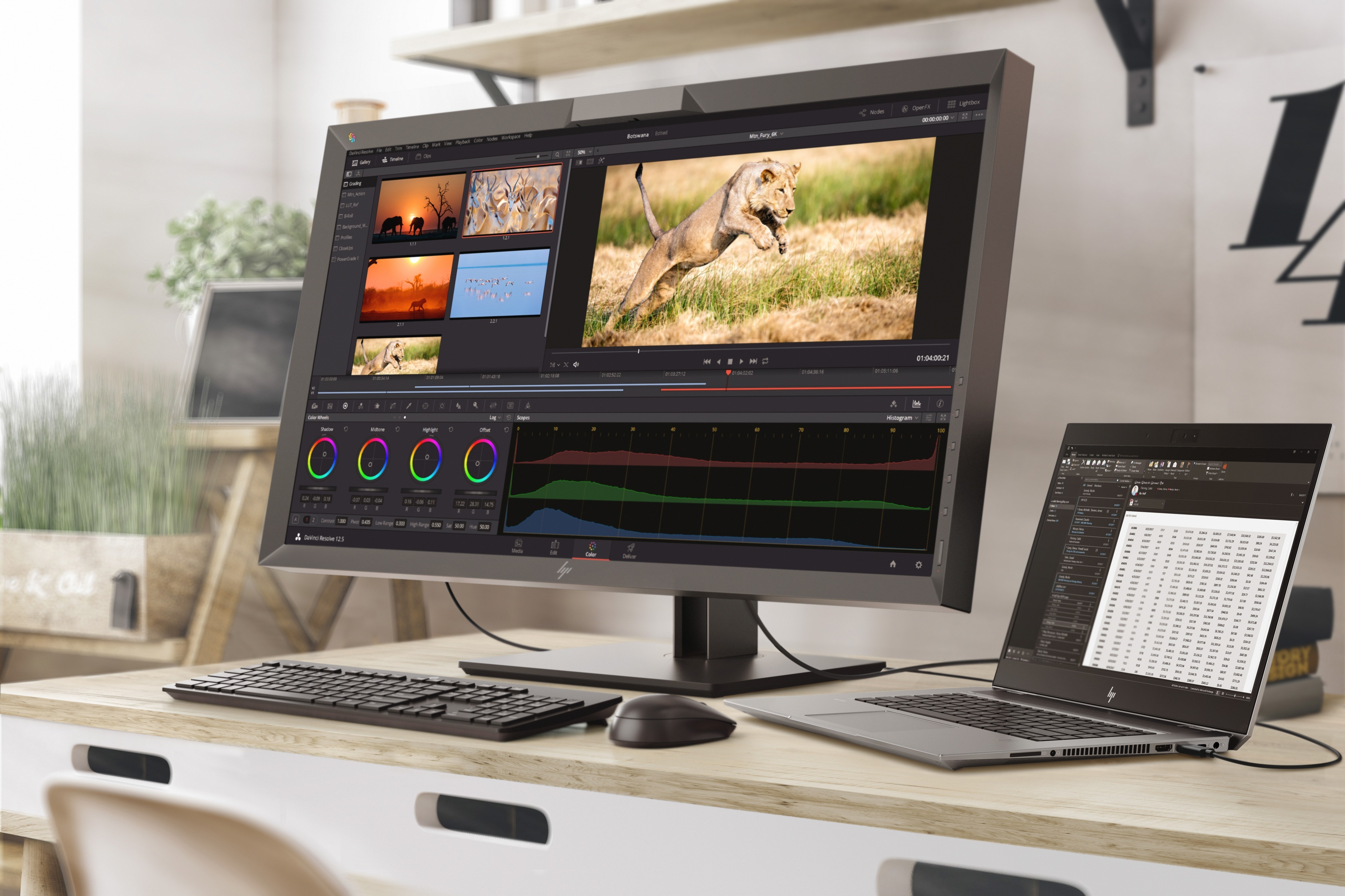 HP Z23n G2