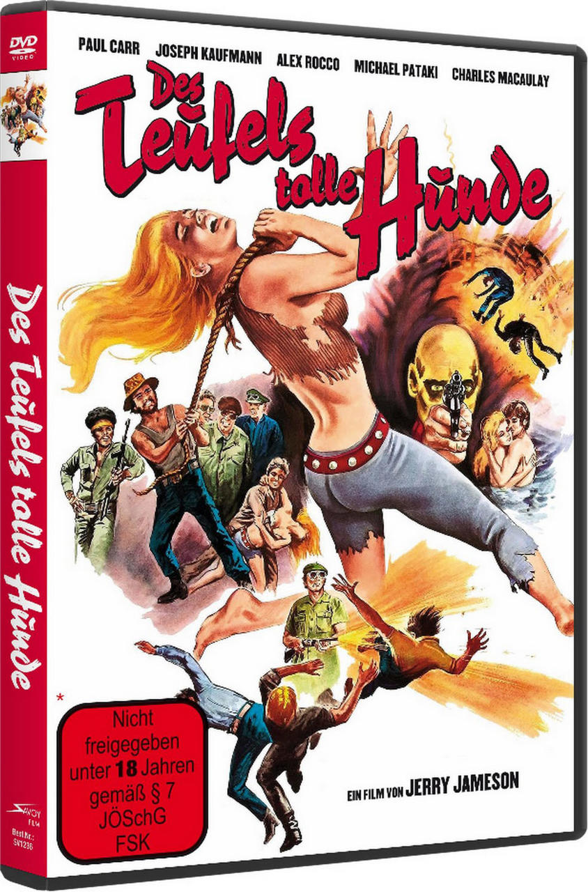 Eine DVD-Hülle mit Menschen in einer prekären Situation, auf Deutsch.